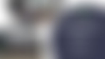 AAAIM Membership Gathering