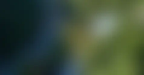 How AboitizPower is forging ahead with its renewable energy journey