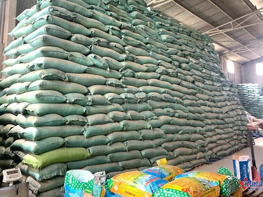 The Untold Story of the Director Behind a Ring Producing Over 200 Tons of Fake Rice Seeds Hai Duong