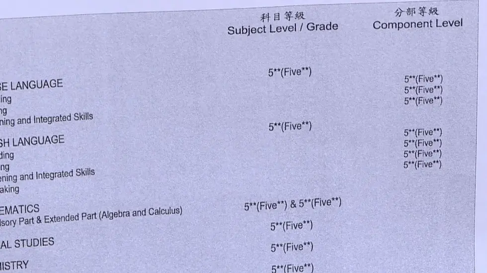 成績好 私人補習導師