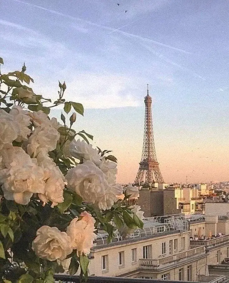 Relocation à Paris : vivre au cœur de l’histoire et de la modernité