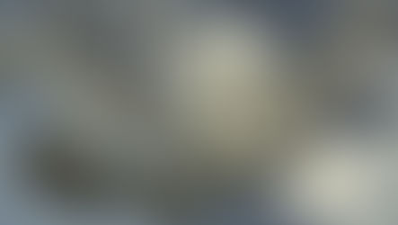 Carlos López. Capítulo 10: Lo dulce y lo agrio en la rueda de la vida.