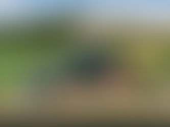 Krone BiGPack 1290 HDP XC