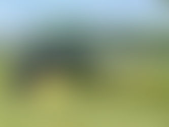 KRONE Swadro Jednorotorový zhrňovač – Nový vzhľad, ešte viac komfortu a výkonu