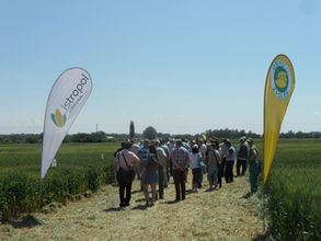 Deň poľa obilnín Tušická Nová Ves - 2014