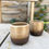 Thumbnail: CHOC Hand-thrown Stoneware Espresso/Sake Tumbler