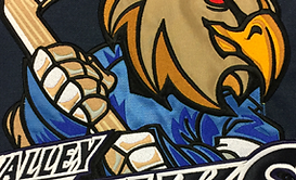 Custom hockey pants