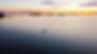 IMG_0018.jpeg