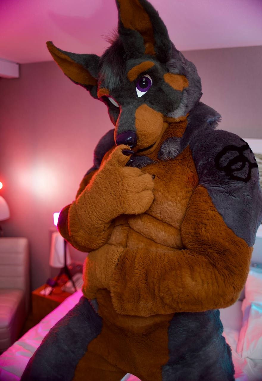 Back From Eurofurence!