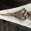 Thumbnail: Juvenile Ichthyosaur Communis Replica