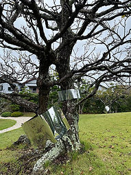 2025_清水邸庭園その5.jpg