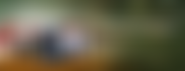 Promoção de natal da Native Instruments oferece 3 presentes FREE neste mês de dezembro.