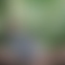 ich liebe diesen Tag