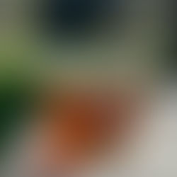 Topfen Leinöl Creme