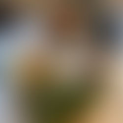 Gemüsepaste selbstgemacht