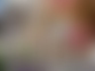 Veilchen, Löwenzahn, Primel...