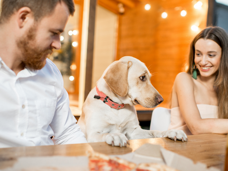 Dining with Dogs: Sonoma County Style!