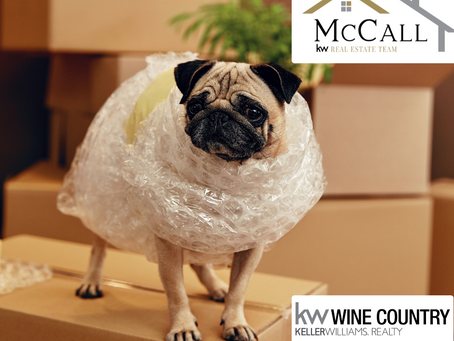 PETS ON THE MOVE: Tips and Tricks for Helping Your Furry Friend Transition to a New Home
