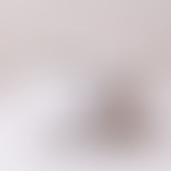 Cement in novus.Lab!