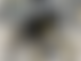 2026 Voge DS800X Rally – Now Available to Demo at Moonraker Motorcycles, Norwich