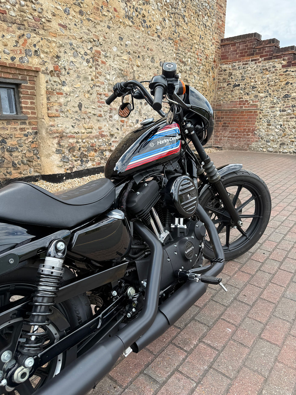 Thumbnail: Harley-Davidson XL1200NS Iron (2020)