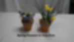 Floral Decor