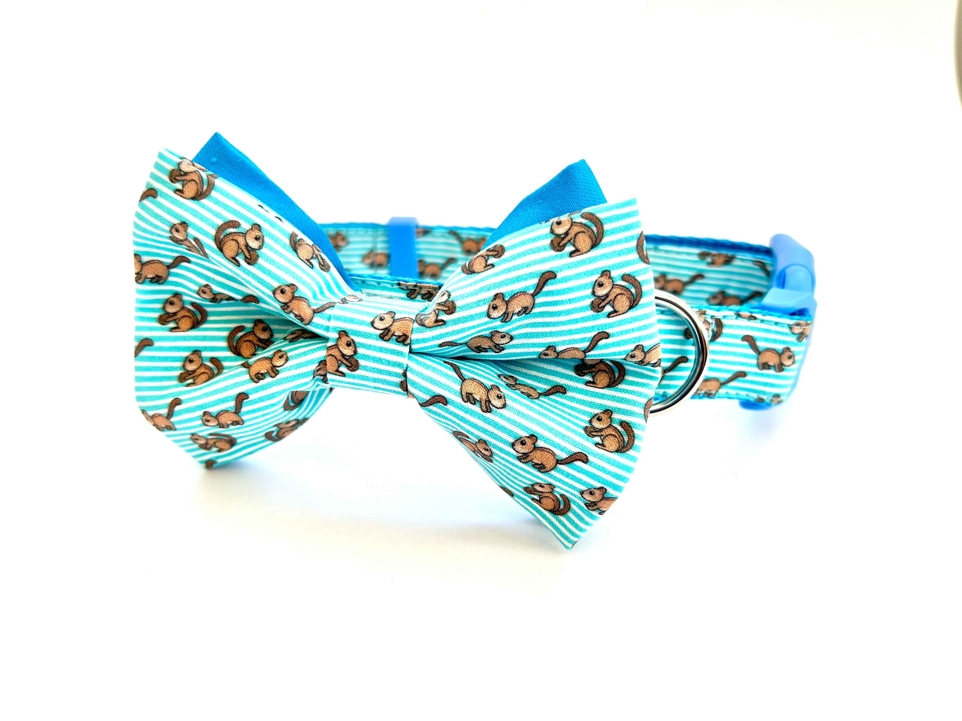 Blue Chipmunks Collar and Bowtie
