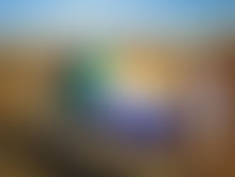 Over 10,000 Afrikaners Express Interest in US Asylum Amid Diplomatic Tensions