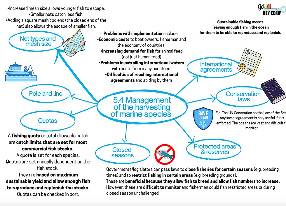 Thumbnail: Environmental Management Revision Mind Maps