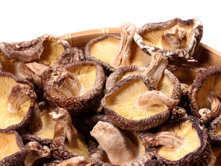 שיטאקה- Lentinula Edodes