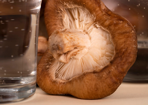 close-up-water-glasses-mushrooms.jpg