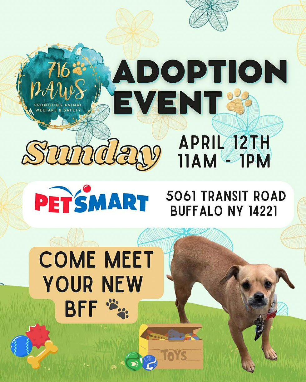 PetSmart Adoption Event - Buffalo