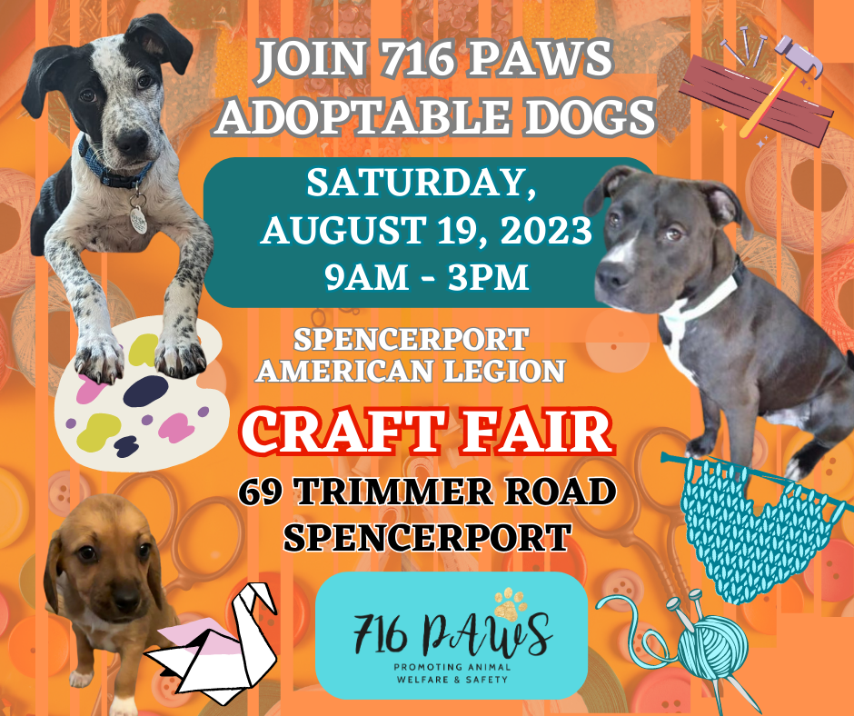 Spencerport American Legion Craft Fair