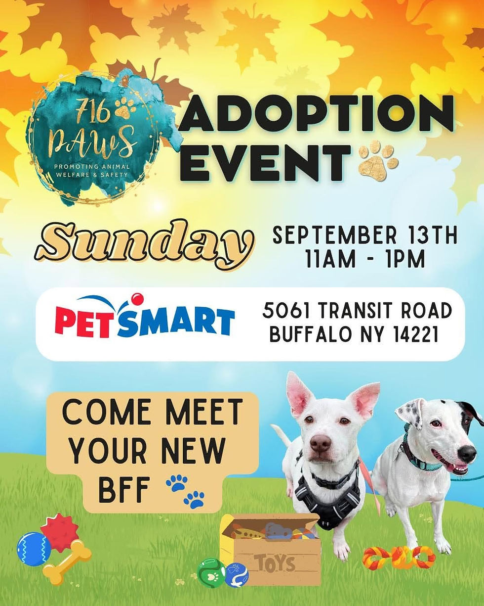 PetSmart Adoption Event
