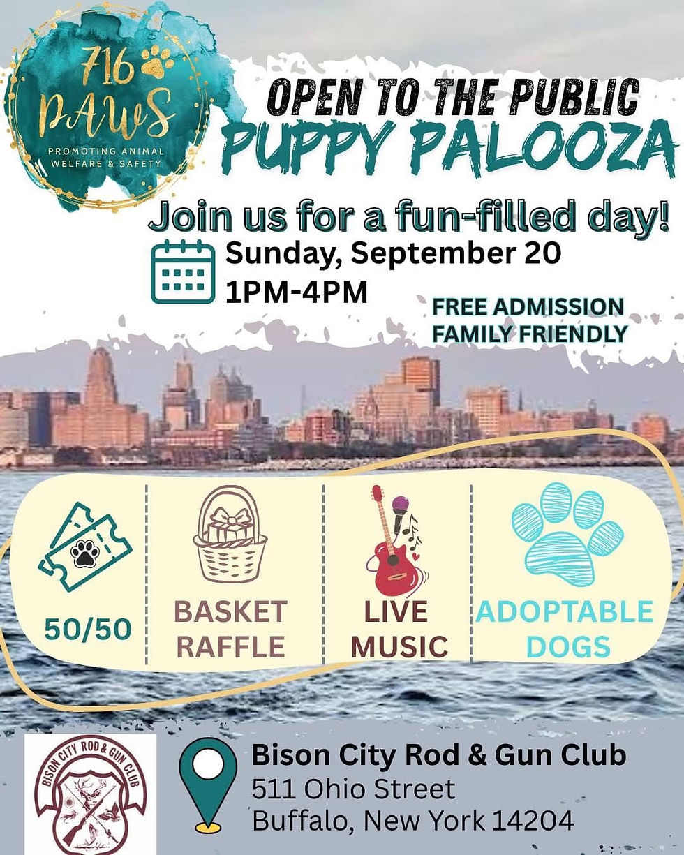 Puppy Palooza