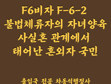 F6비자 F-6-2 불법체류자의 자녀양육(사실혼 관계에서 태어난 혼외자 국민)