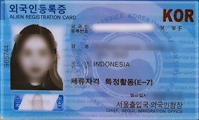 취업비자 E7비자 외국인등록증