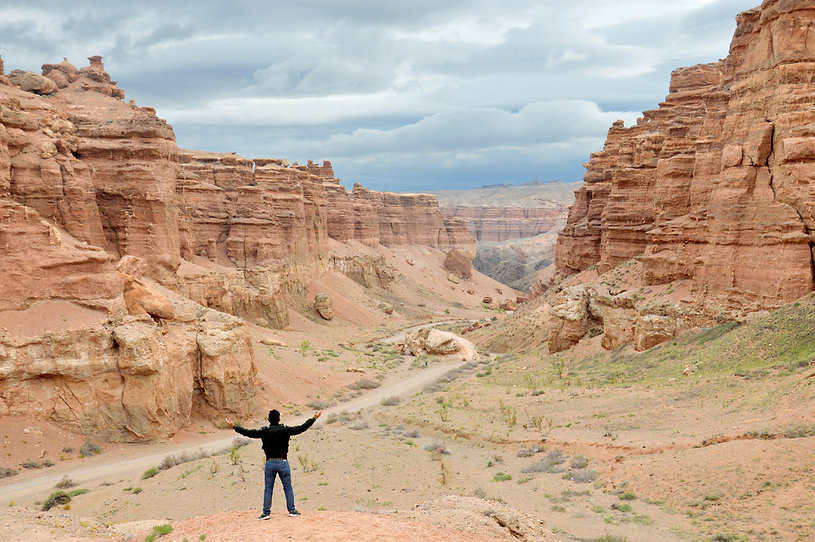 charyngorge