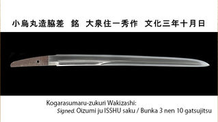 小烏丸造脇差 銘 大泉住一秀作 文化三年十月日
