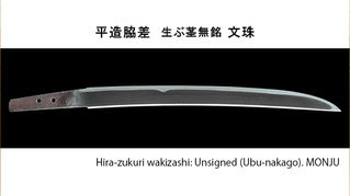 新商品のご案内 平造脇差 生ぶ茎無銘 文珠