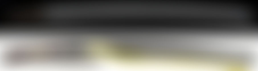 新商品のご案内 脇差 銘 陸奥大掾三善長道(最上大業物)