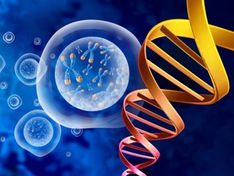 FDA Announces first Platform Technology Designation: Implications for CMD’s Path to Clinical Trials