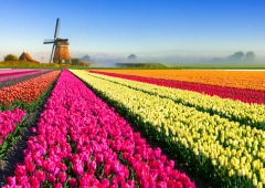 You Can Never Go Back