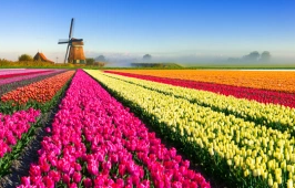 You Can Never Go Back