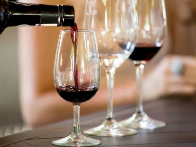 new-frontiers-escapes-winelands-south-africa-72866.webp