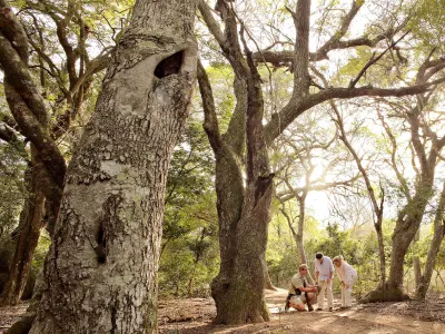 south-africa-kwazulu-natal-phinda-private-game-reserve-67560.webp