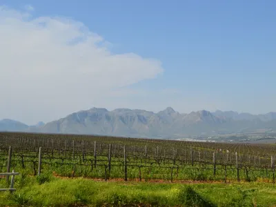 stellenbosch-wine-estates-cycling-e-bikes-vineyards-65680.webp