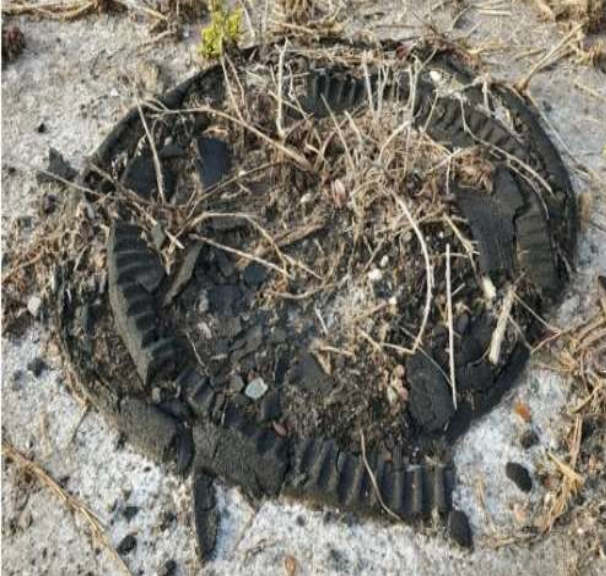 Figura 2. Pneu degradado em uma praia do Oregon, EUA. Fonte: Mayer et al., 2024.