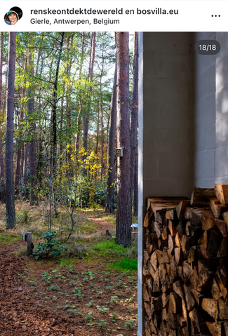 Bosvilla Witte Raaf ingang tussen de bomen in het bos