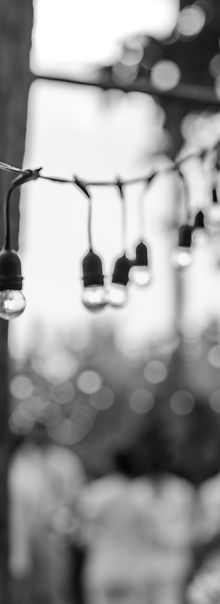 Decorative outdoor string light bulb han